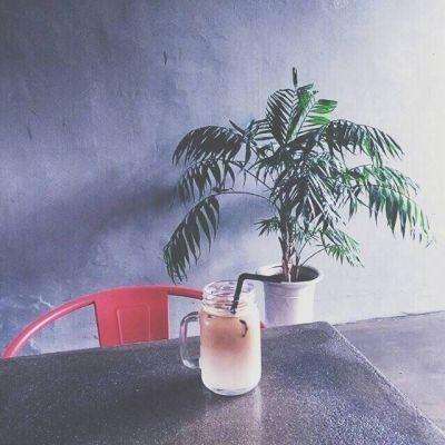 剑仙缘手游下载
