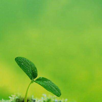 海外考古大家访谈｜傅罗文：专业化生产与社会复杂化进程